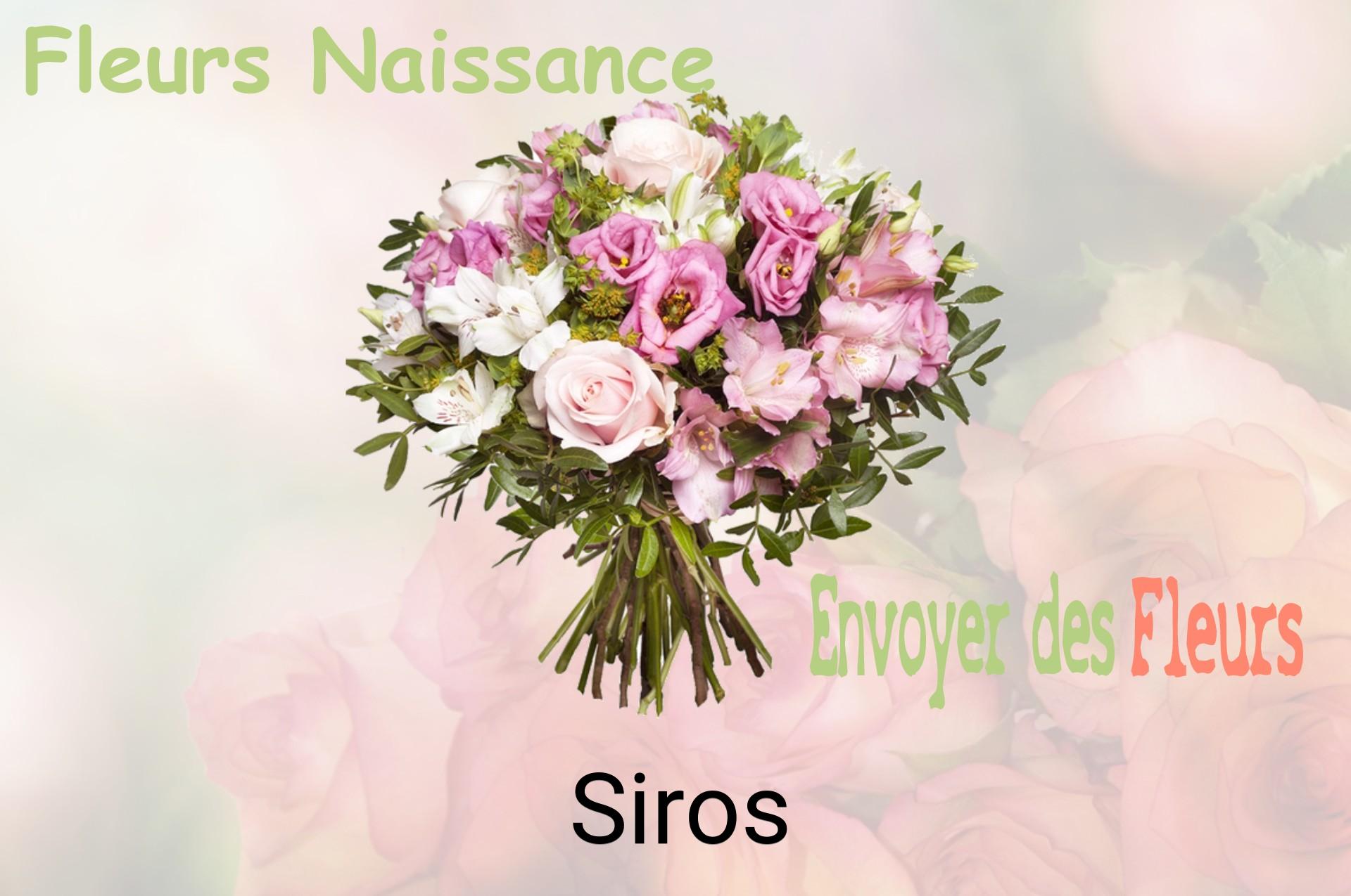 Bouquet de fleurs de naissance livré à Siros
